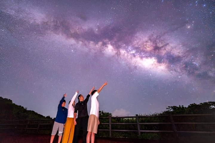Visite nocturne du ciel étoilé et de la jungle de l'île d'Okinawa Iriomote, planétarium naturel et créatures tropicales rares