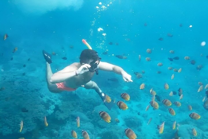 Gita di un giorno tutto compreso a Nusa Penida