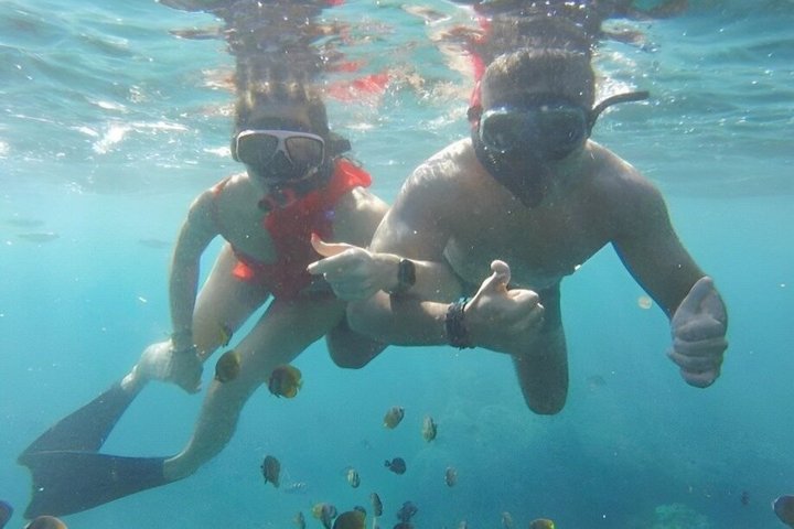 Gita di un giorno tutto compreso a Nusa Penida