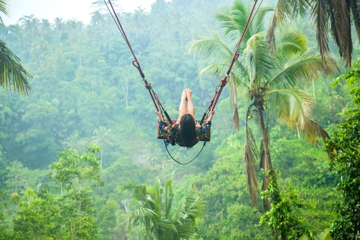 Ubud : Bosque de Monos, Terraza de Arroz, Cueva del Elefante & Tour en Cascada