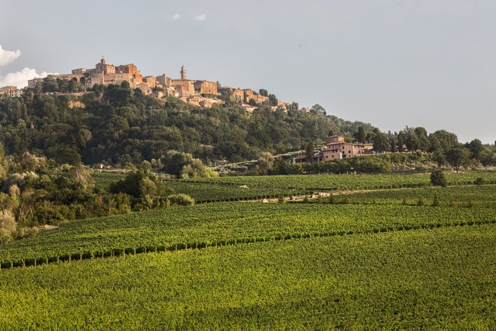 Vino Nobile di Montepulciano vingårdstur och provsmakning