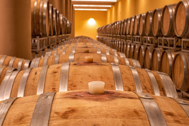Vino Nobile di Montepulciano vingårdstur och provsmakning