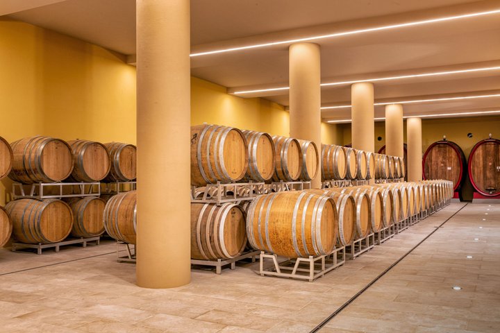 Vino Nobile di Montepulciano vingårdstur och provsmakning