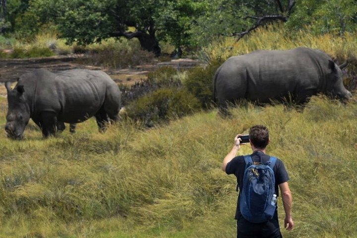 Rastreo de rinocerontes de Matobo y arte rupestre desde Bulawayo