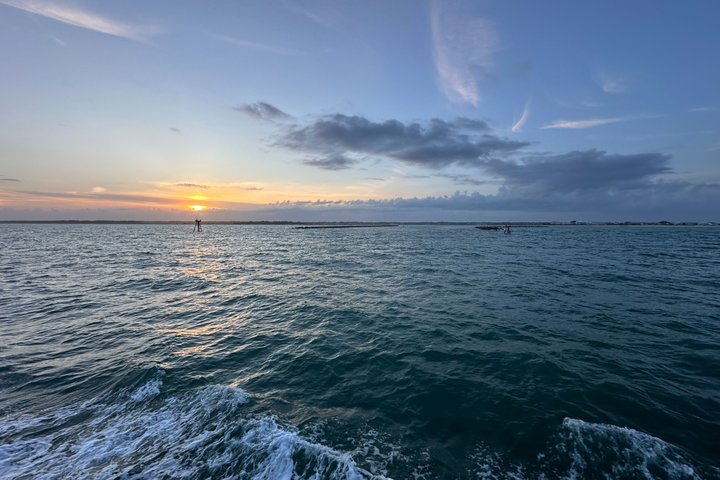 Hoteller i nærheden af Ocean Sunset Dolphin & Sealife Cruise