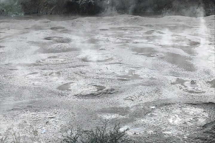 Tour cultural y geotérmico del País de las Maravillas de Rotorua – Partida de Tauranga