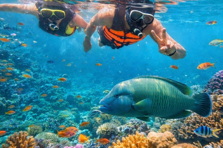 Koh Samui: Parco Nazionale Marino di Angthong 42 - Tour in motoscafo dell'isola