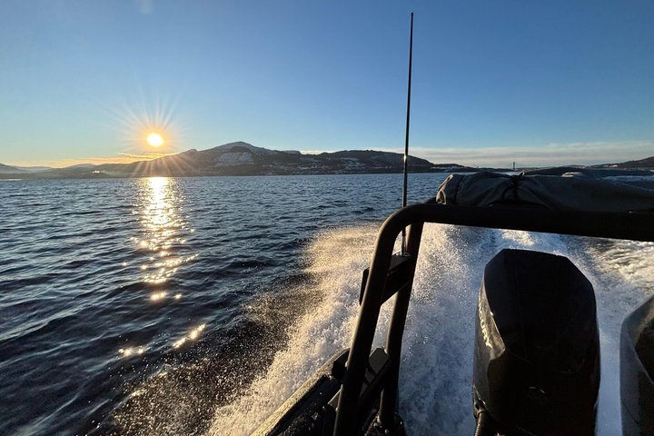 Bergen : Mostraumen Fjord Safari - par Premium RIB Boat