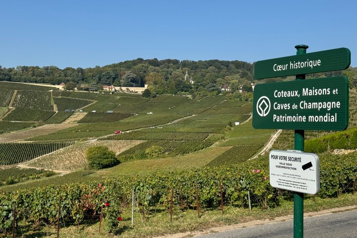 Exclusieve Champagne Kelders & Dom Perignon Wijngaarden tour - Reims