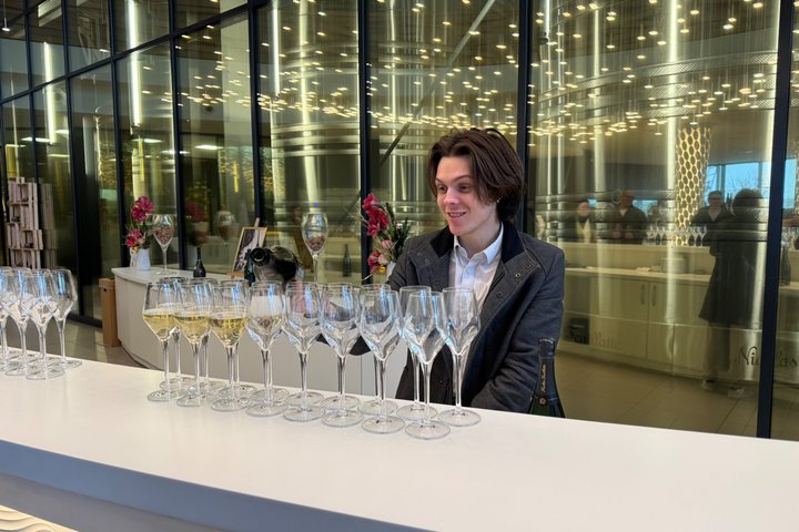 Exclusieve Champagne Kelders & Dom Perignon Wijngaarden tour - Reims