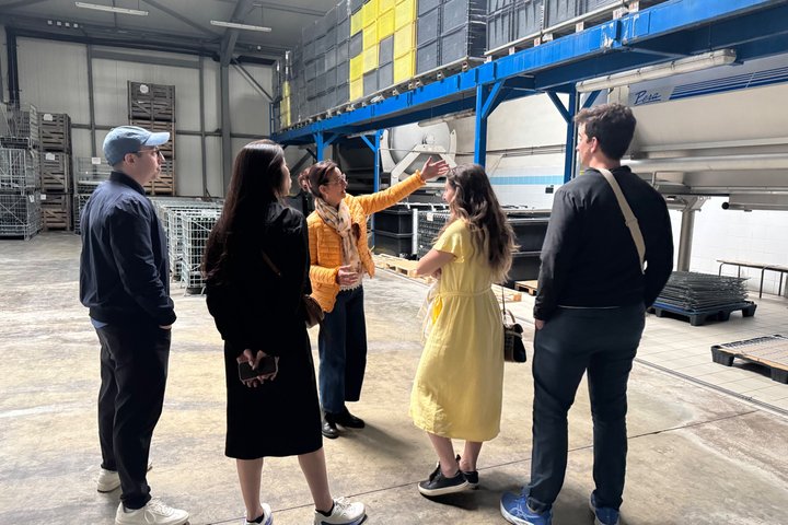 Exclusieve Champagne Kelders & Dom Perignon Wijngaarden tour - Reims
