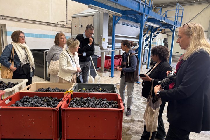 Exclusieve Champagne Kelders & Dom Perignon Wijngaarden tour - Reims