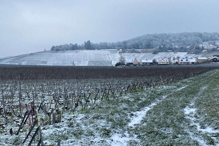 Exclusieve Champagne Kelders & Dom Perignon Wijngaarden tour - Reims