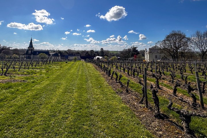 Degustazione di vino con il produttore di vino al Domaine Beaumont Distré-Saumur