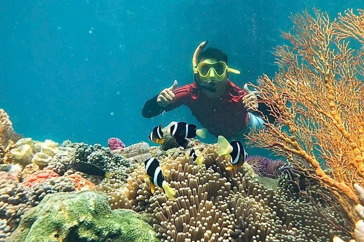 Tour de día completo de buceo con tobogán acuático
