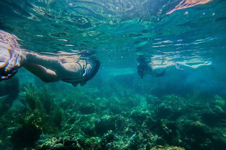 Tour de día completo de buceo con tobogán acuático
