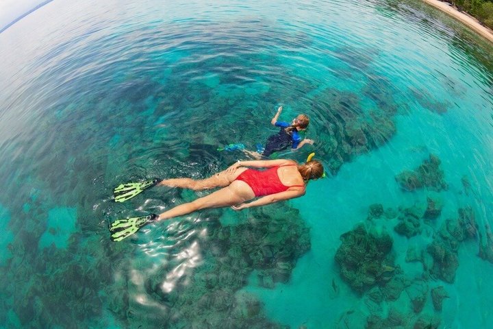 Tour de día completo de buceo con tobogán acuático