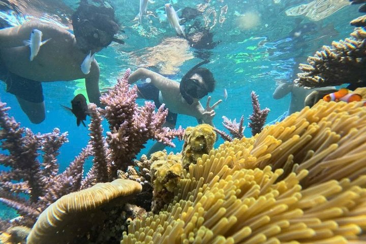 Tour de día completo de buceo con tobogán acuático