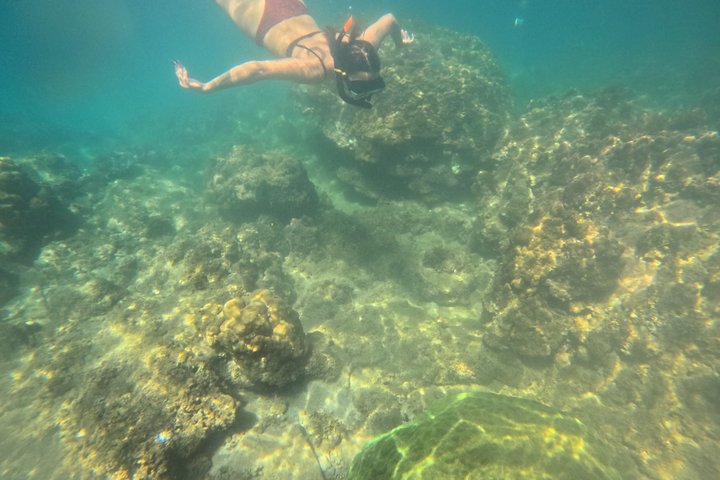 Tour de día completo de buceo con tobogán acuático