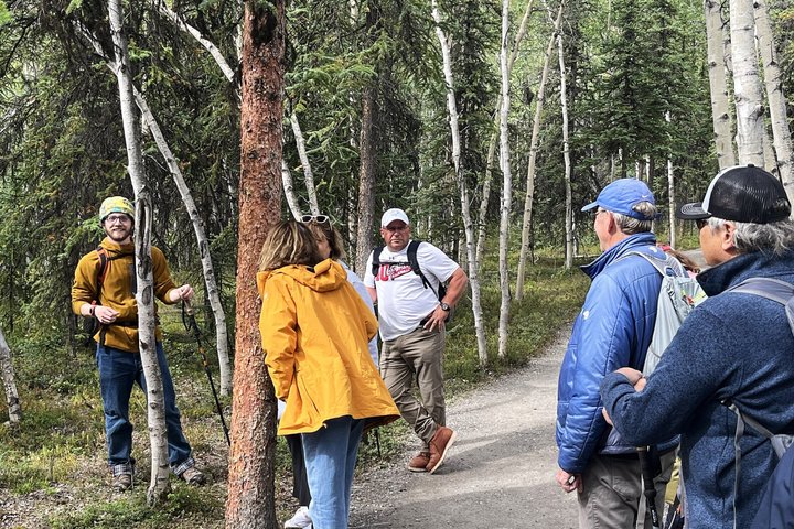 Denali Park Nature Walk (3 horas) w / naturalista especialista