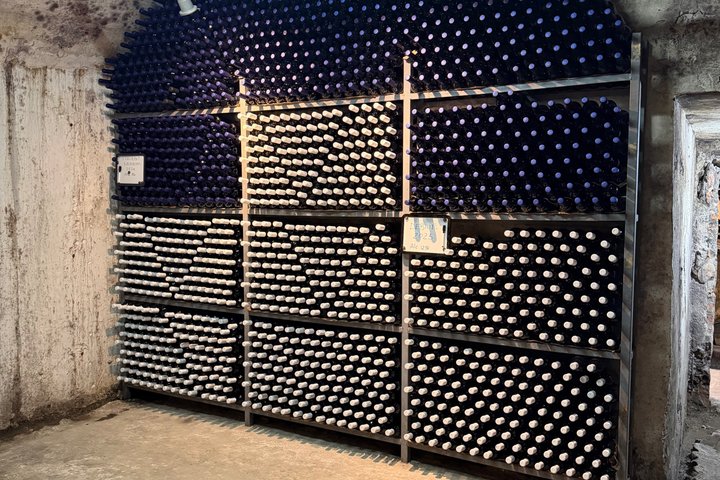 Besichtigung des Vreshti i Pashait Weintunnels und Verkostung