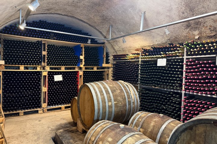 Besichtigung des Vreshti i Pashait Weintunnels und Verkostung