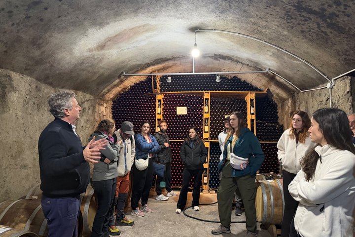 Besichtigung des Vreshti i Pashait Weintunnels und Verkostung