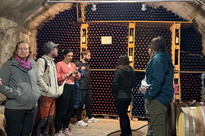 Besichtigung des Vreshti i Pashait Weintunnels und Verkostung