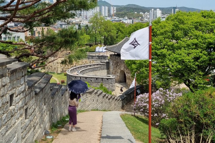 Tour Privado a la Fortaleza Suwon Hwaseong : UNESCO & Gemas Locales