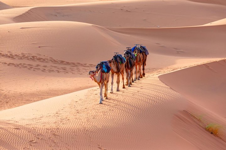 4 dagars Sahara Desert Tour från Marrakech till Merzouga