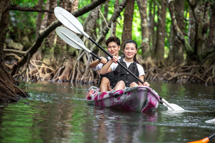 SUP ou canoë dans la mangrove d'Ishigaki + plongée avec tuba dans la Grotte Bleue