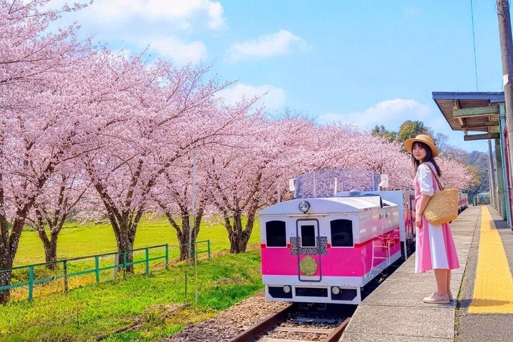 Takachiho Gorge, Takachiho Railway & Amano Iwato Shrine Day Tour
