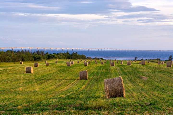 Visite en autobus d'Anne of Green Gables et de la Côte-Nord de l'Î.-P.-É.