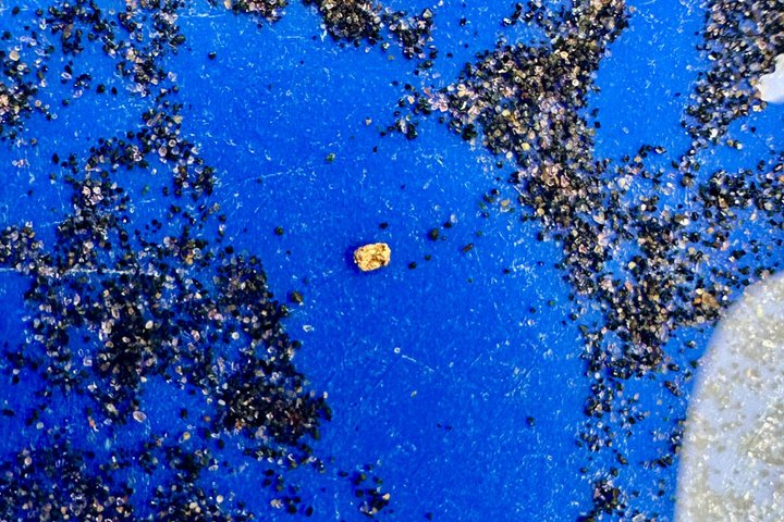 Experiencia de Panorama del Oro en Kuttura Claim Laponia