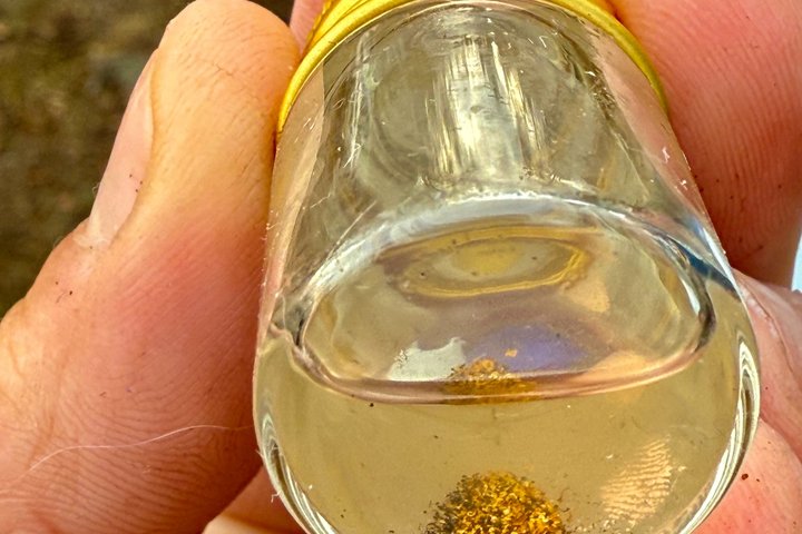 Experiencia de Panorama del Oro en Kuttura Claim Laponia