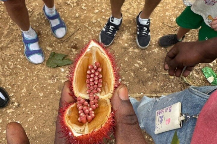 Zanzibar Jozani skog og krydder gård tur med Swahili lunsj