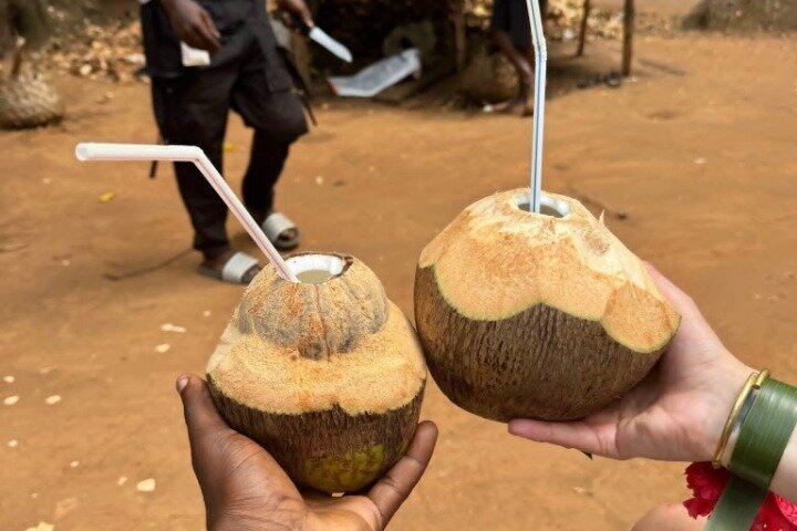 Zanzibar Jozani skog og krydder gård tur med Swahili lunsj