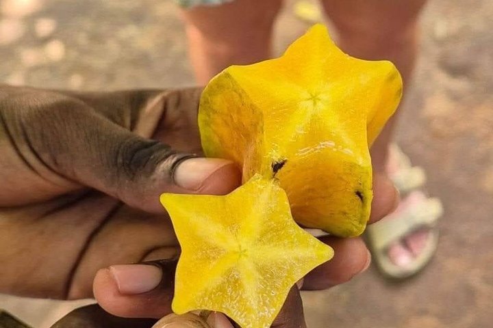 Zanzibar Jozani skog og krydder gård tur med Swahili lunsj