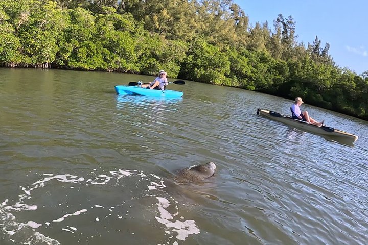 Restauranter i nærheten av Kickin' Kayaks Morning Wildlife Tour