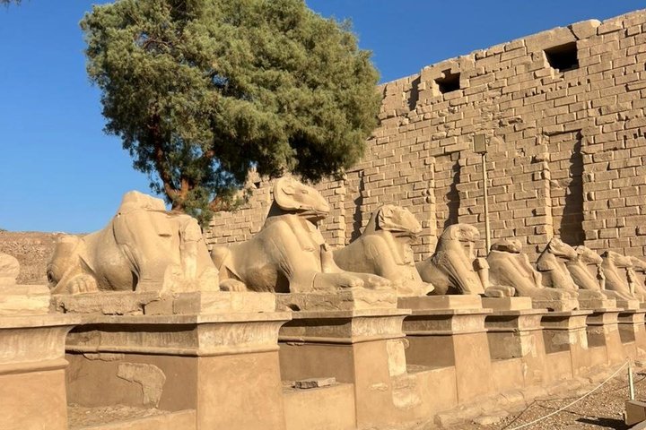 Gita privata di un giorno a Luxor da Hurghada e Valle dei Re