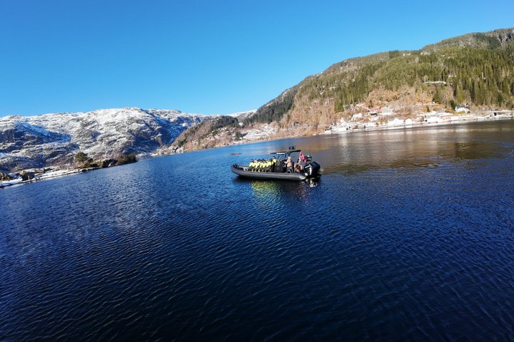 Bergen : Mostraumen Fjord Safari - par Premium RIB Boat