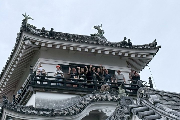 Il meglio di Kochi Tour di mezza giornata: Castello e mercato di Hirome