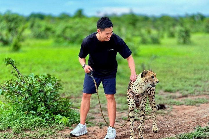 Cheetah Experience