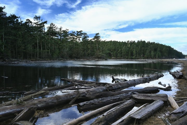 Naturskön vandring med fantastisk utsikt genom frodiga skogslandskap