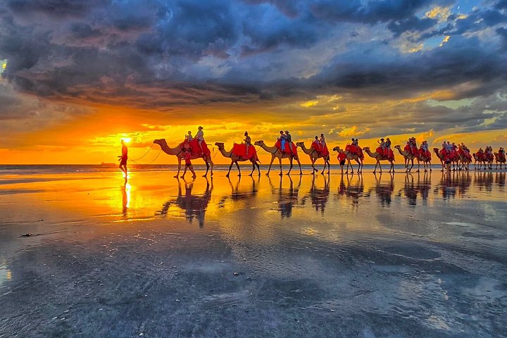 Tour de 1 hora en camello al atardecer por Broome en Cable Beach, Broome