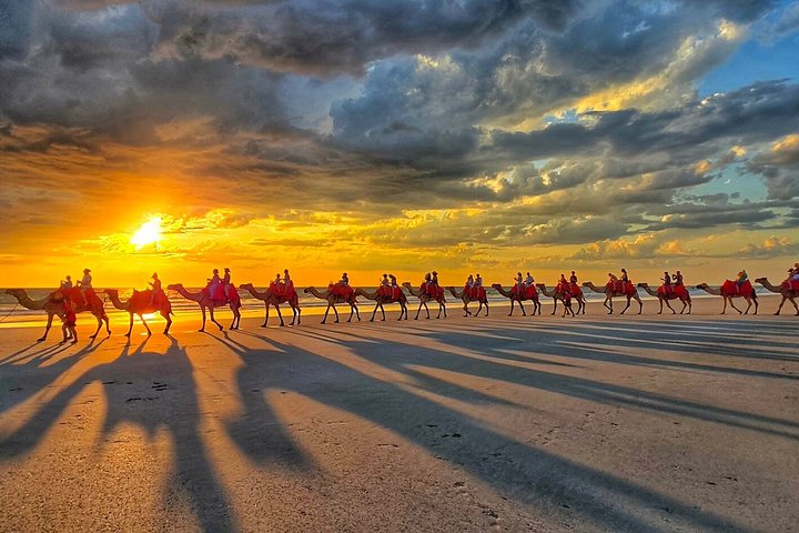 Tour de 1 hora en camello al atardecer por Broome en Cable Beach, Broome
