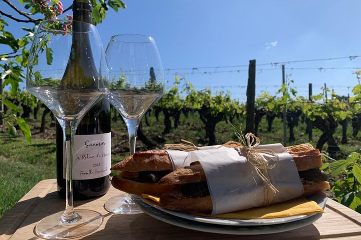 Degustazione di vino con il produttore di vino al Domaine Beaumont Distré-Saumur