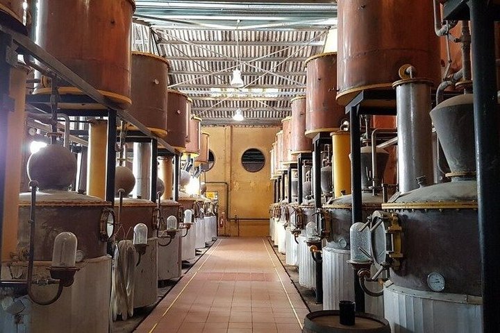 Tour al Valle del Elqui con degustación y almuerzo de pisco