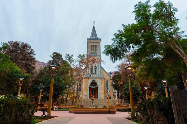 Tour al Valle del Elqui con degustación y almuerzo de pisco