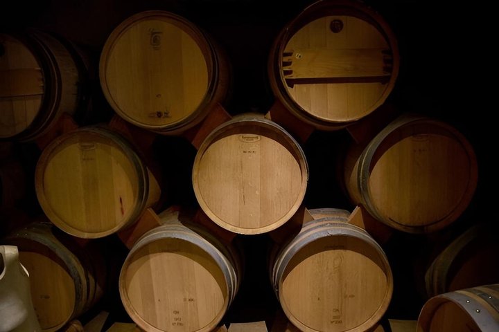 Tour al Valle del Elqui con degustación y almuerzo de pisco